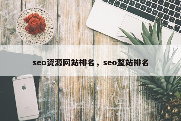 seo资源网站排名，seo整站排名