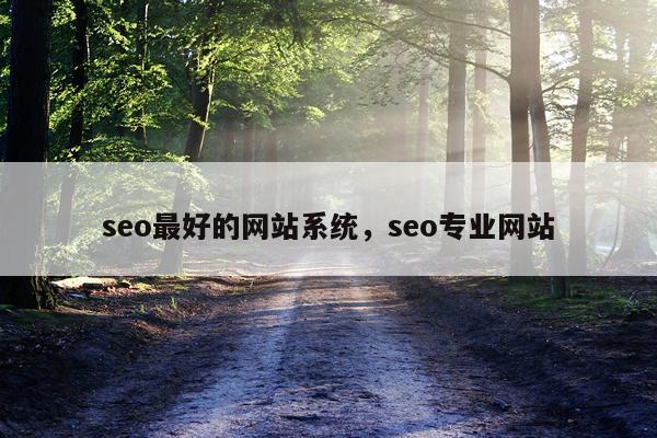 seo最好的网站系统，seo专业网站