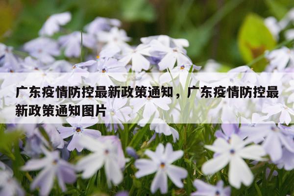 广东疫情防控最新政策通知，广东疫情防控最新政策通知图片