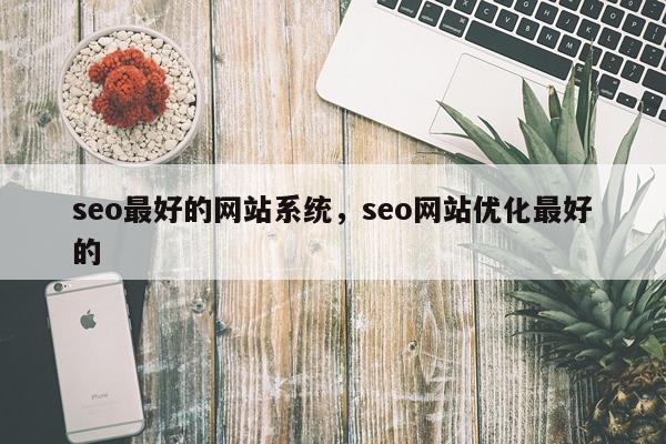 seo最好的网站系统，seo网站优化最好的