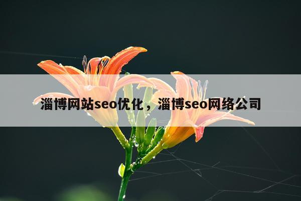 淄博网站seo优化，淄博seo网络公司