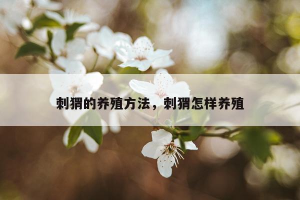 刺猬的养殖方法，刺猬怎样养殖