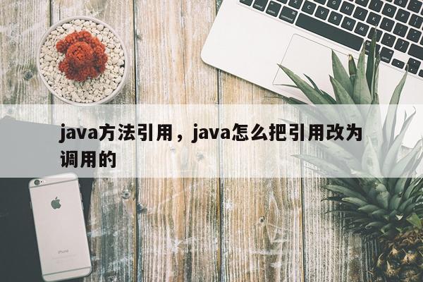 java方法引用，java怎么把引用改为调用的