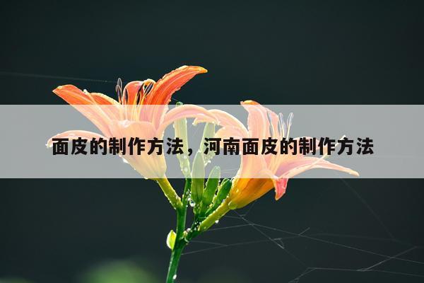 面皮的制作方法，河南面皮的制作方法