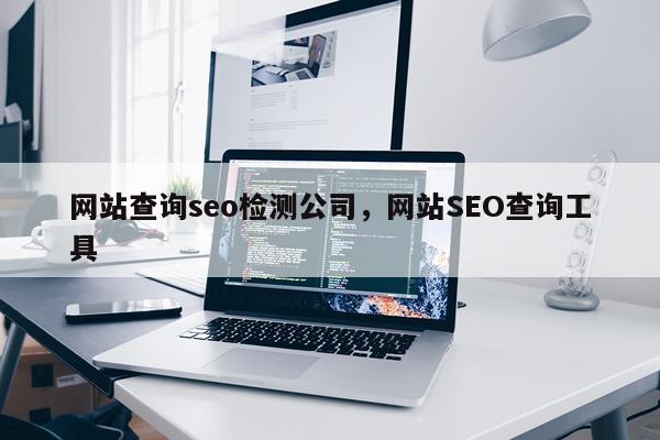 网站查询seo检测公司，网站SEO查询工具