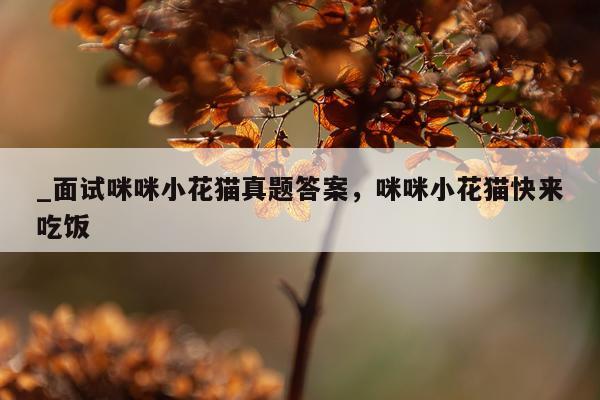 _面试咪咪小花猫真题答案，咪咪小花猫快来吃饭