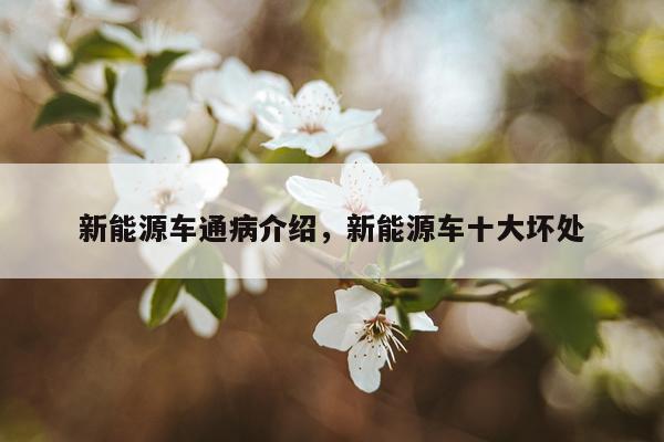 新能源车通病介绍，新能源车十大坏处