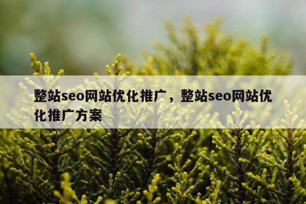 整站seo网站优化推广，整站seo网站优化推广方案