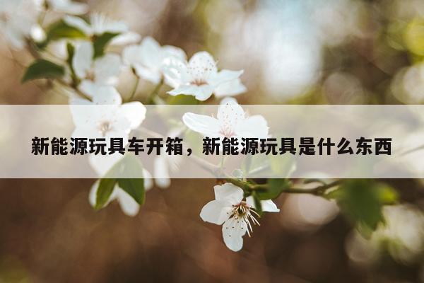 新能源玩具车开箱，新能源玩具是什么东西