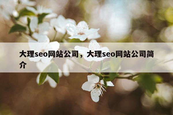 大理seo网站公司，大理seo网站公司简介