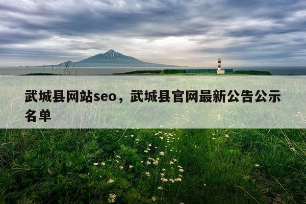 武城县网站seo，武城县官网最新公告公示名单