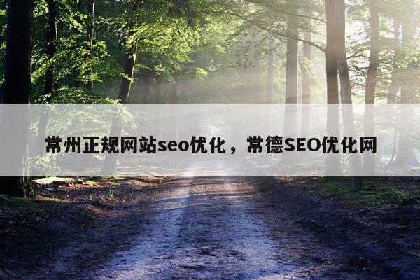 常州正规网站seo优化，常德SEO优化网