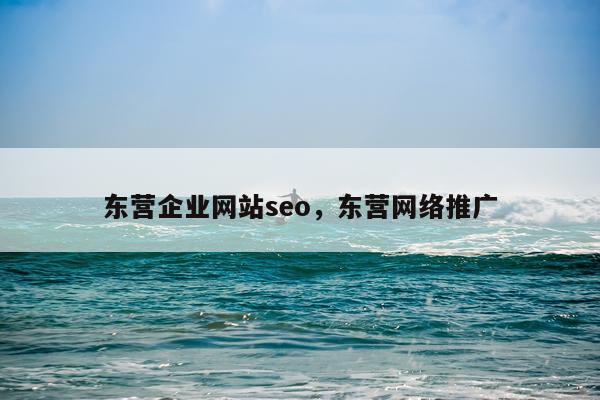 东营企业网站seo，东营网络推广