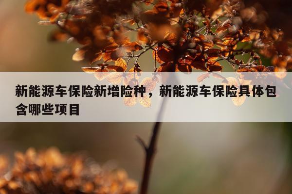新能源车保险新增险种，新能源车保险具体包含哪些项目