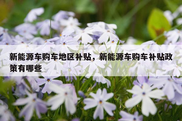 新能源车购车地区补贴，新能源车购车补贴政策有哪些