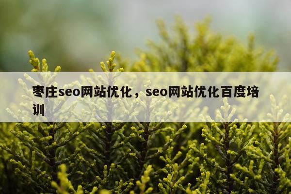 枣庄seo网站优化，seo网站优化百度培训