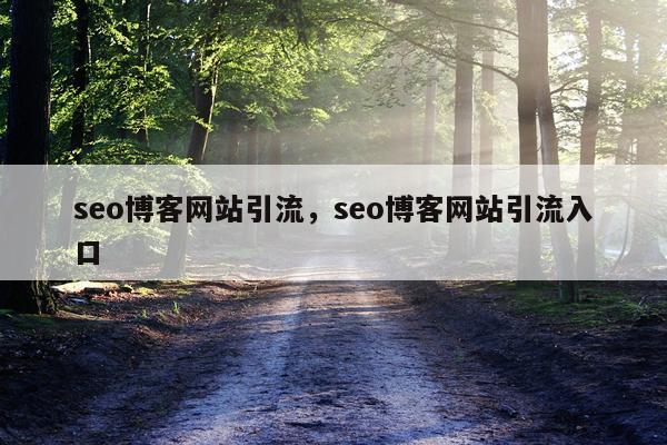 seo博客网站引流，seo博客网站引流入口
