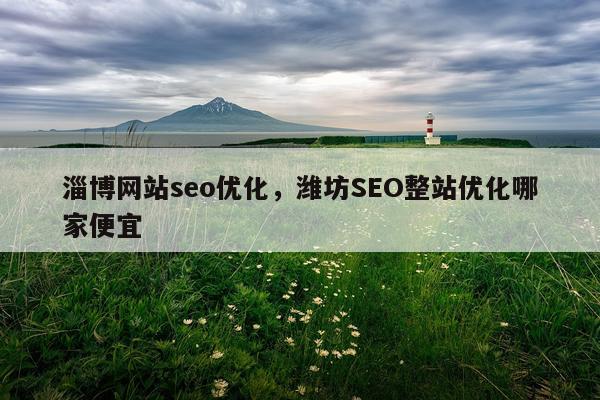 淄博网站seo优化，潍坊SEO整站优化哪家便宜