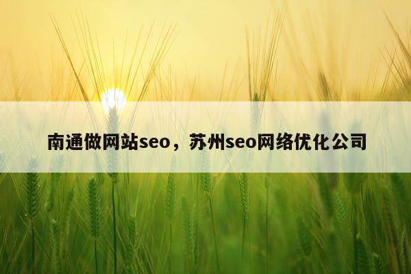 南通做网站seo，苏州seo网络优化公司