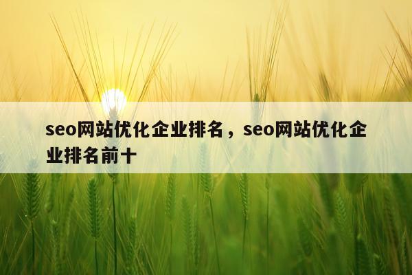 seo网站优化企业排名，seo网站优化企业排名前十