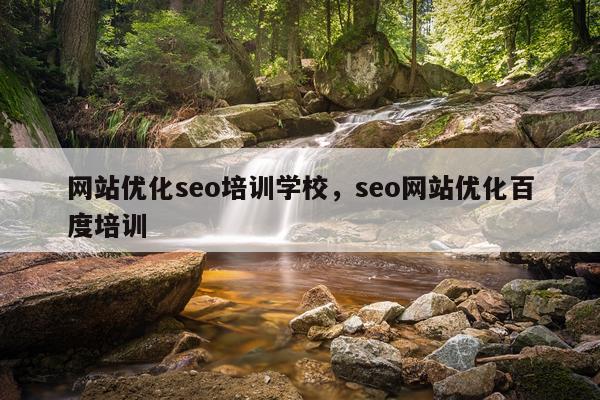 网站优化seo培训学校，seo网站优化百度培训