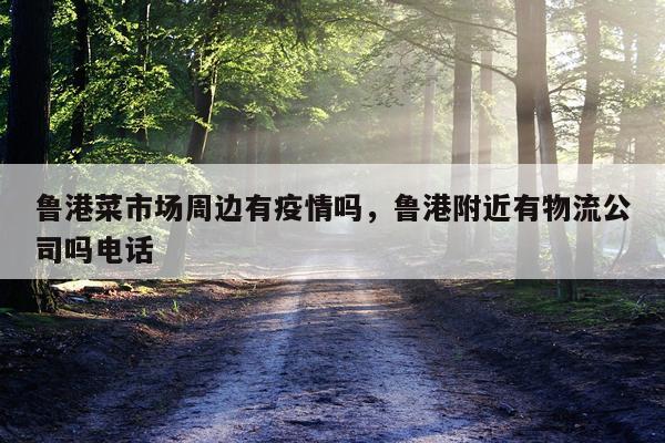 鲁港菜市场周边有疫情吗，鲁港附近有物流公司吗电话