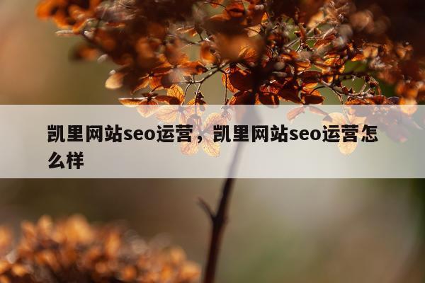 凯里网站seo运营，凯里网站seo运营怎么样
