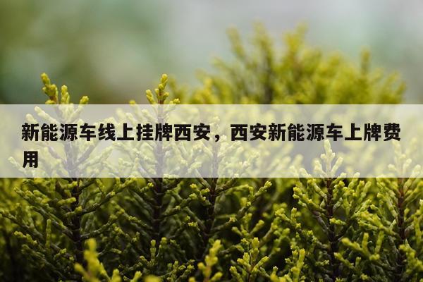新能源车线上挂牌西安，西安新能源车上牌费用