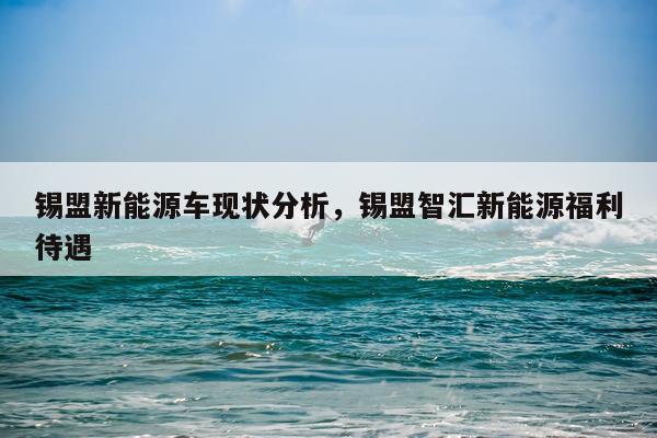 锡盟新能源车现状分析，锡盟智汇新能源福利待遇