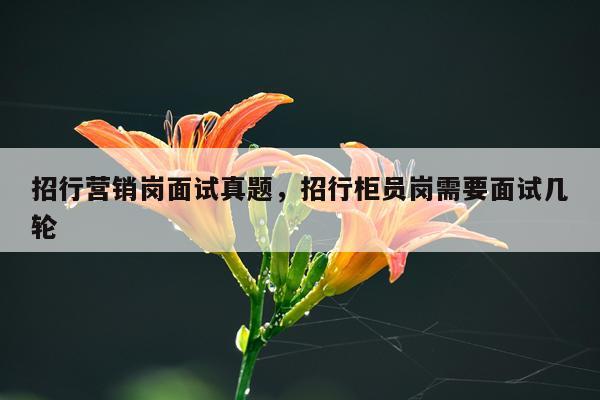 招行营销岗面试真题，招行柜员岗需要面试几轮