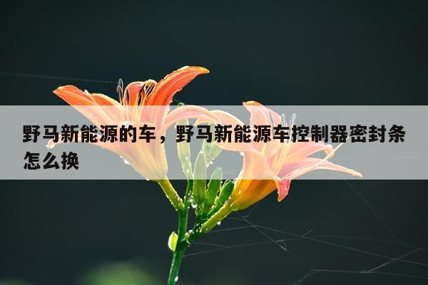 野马新能源的车，野马新能源车控制器密封条怎么换