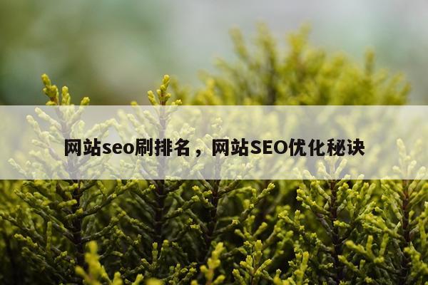 网站seo刷排名，网站SEO优化秘诀