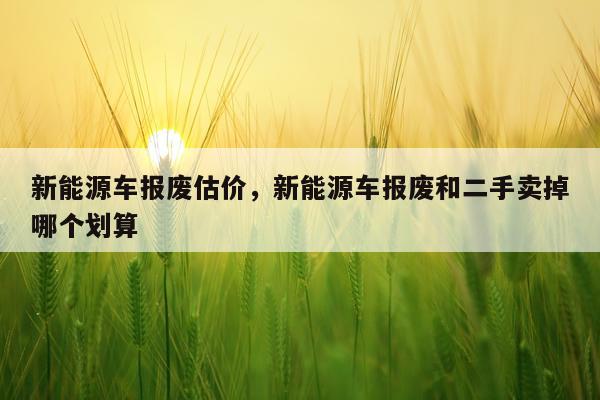 新能源车报废估价，新能源车报废和二手卖掉哪个划算