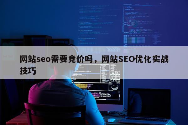 网站seo需要竞价吗，网站SEO优化实战技巧