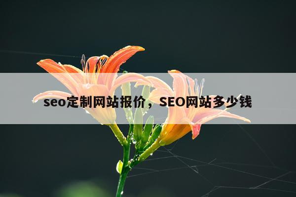 seo定制网站报价，SEO网站多少钱