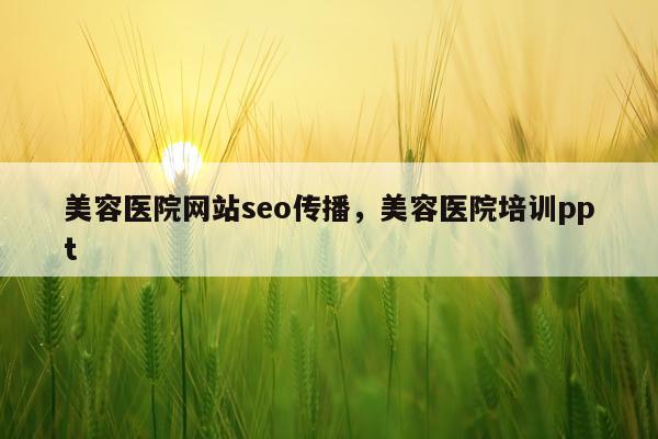 美容医院网站seo传播，美容医院培训ppt