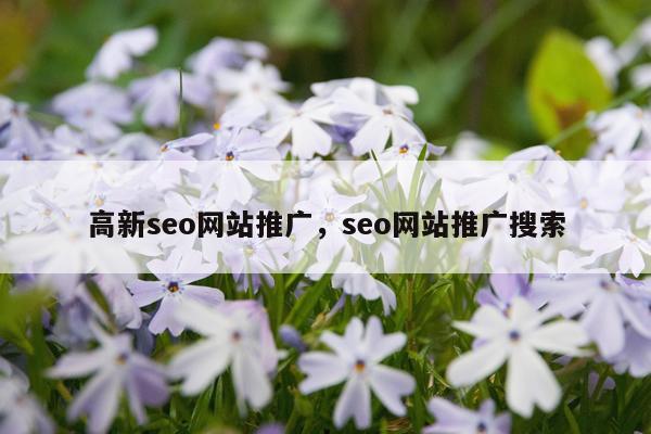 高新seo网站推广，seo网站推广搜索