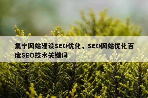集宁网站建设SEO优化，SEO网站优化百度SEO技术关键词