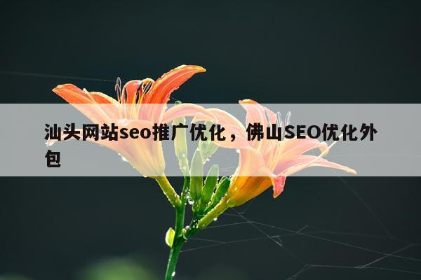 汕头网站seo推广优化，佛山SEO优化外包