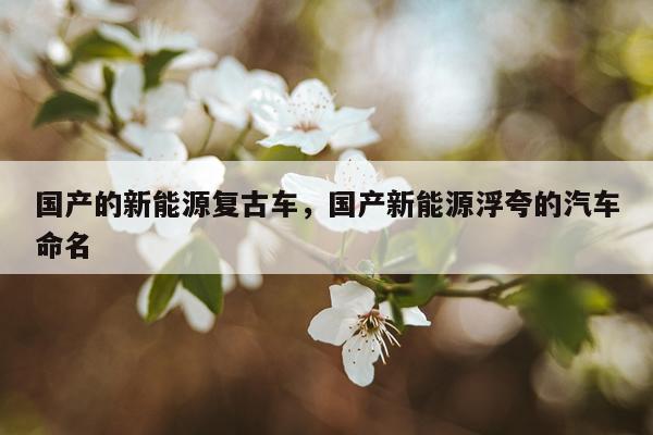 国产的新能源复古车，国产新能源浮夸的汽车命名