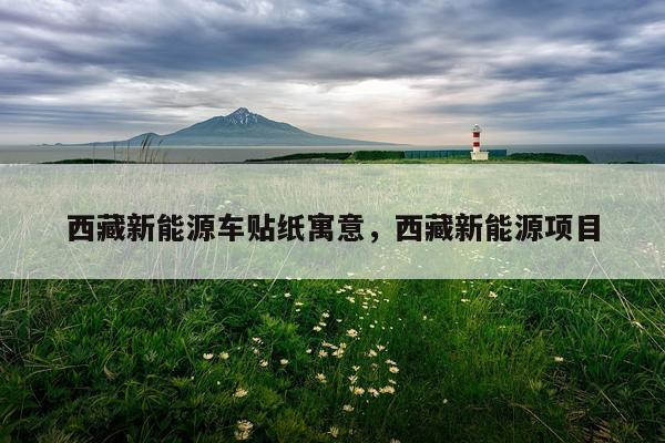 西藏新能源车贴纸寓意，西藏新能源项目