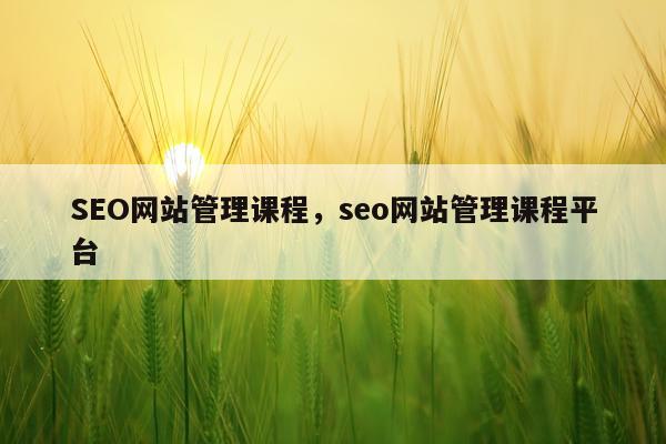 SEO网站管理课程，seo网站管理课程平台