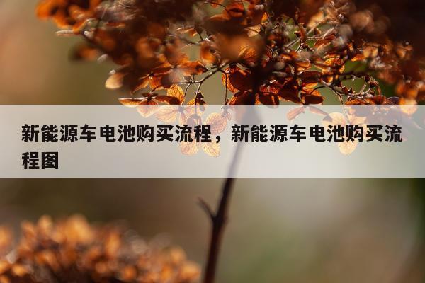 新能源车电池购买流程，新能源车电池购买流程图