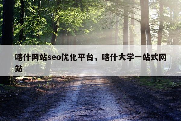 喀什网站seo优化平台，喀什大学一站式网站