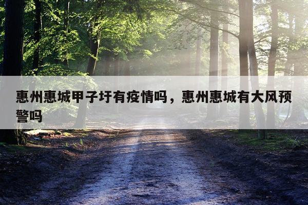 惠州惠城甲子圩有疫情吗，惠州惠城有大风预警吗