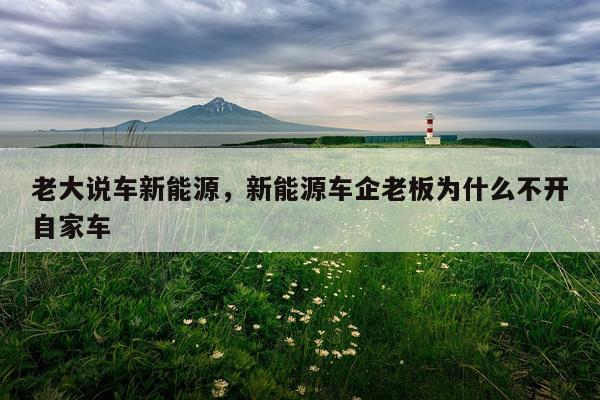 老大说车新能源，新能源车企老板为什么不开自家车
