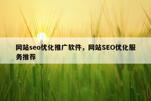 网站seo优化推广软件，网站SEO优化服务推荐