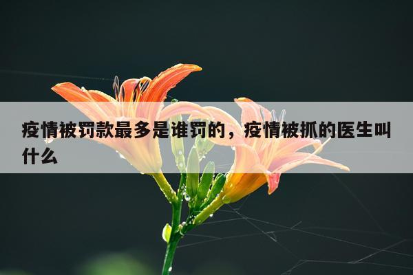 疫情被罚款最多是谁罚的，疫情被抓的医生叫什么