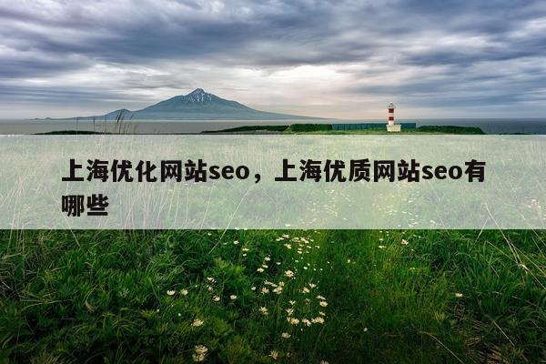 上海优化网站seo，上海优质网站seo有哪些