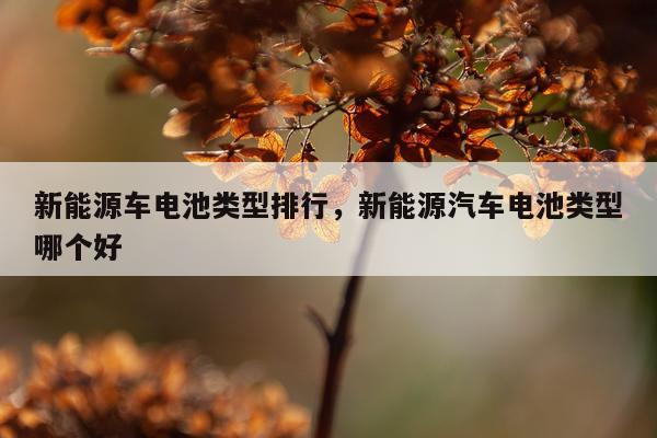 新能源车电池类型排行，新能源汽车电池类型哪个好